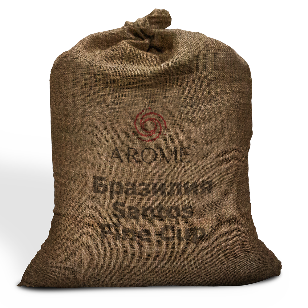 Бразилия Santos Fine Cup